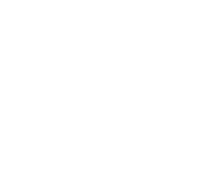 لوگو